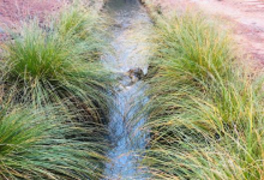 Naseby Holiday Park (Larchview)景点图片