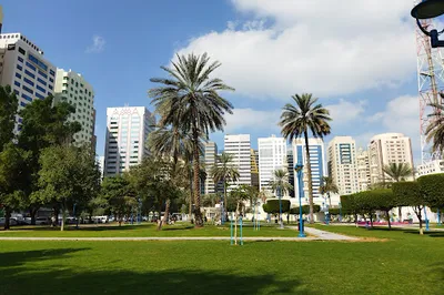 Electra Park