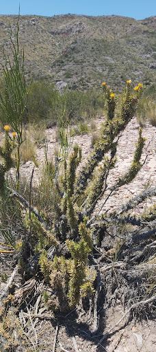 PUNTO PANORÁMICO-圣拉斐尔县