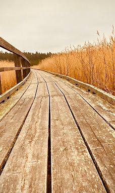 Selkämeri National Park (Pori)-波里