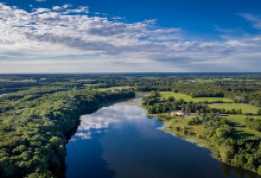 Better Place Forests - St. Croix Valley景点图片