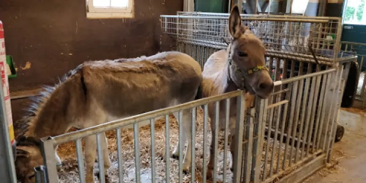 Streekboerderij Daniken