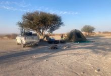 Makgadikgadi adventure camp景点图片