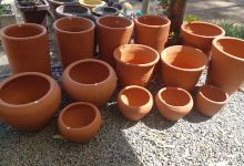 Vivero Mi Soles购物图片