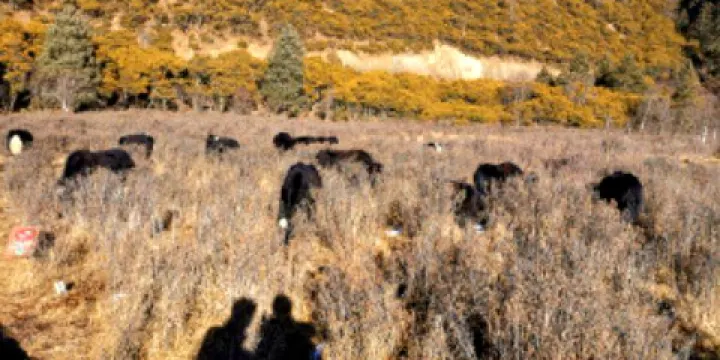 普達措國家公園遊船