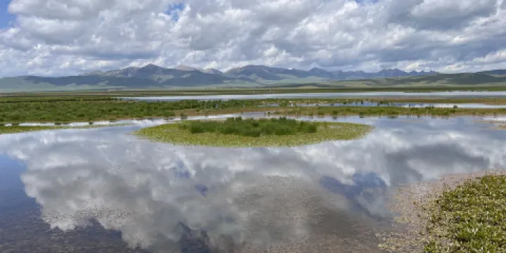 若爾蓋花湖生態旅遊區-亭子