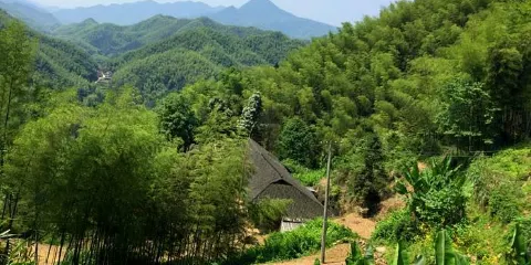 草籽凹一玄則寶塔