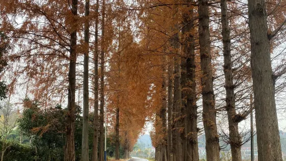 五山堰河鄉村旅遊區