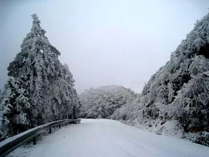 隘门界雪景森林公园