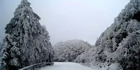 隘門界雪景森林公園