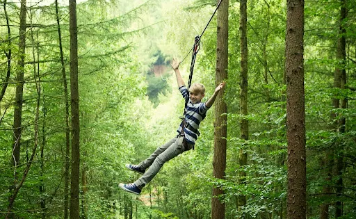 Go Ape Buxton （Treetop Challenge, Zip Lines, High Ropes）