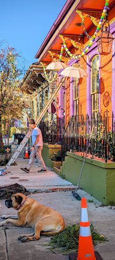 纽奥良港-新奥尔良