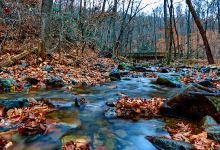 Dunnfield Creek Natural Area景点图片