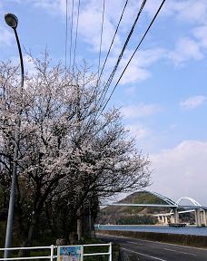 内海大桥-福山市