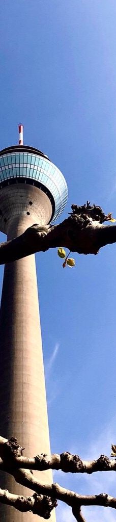 莱茵塔-杜塞尔多夫