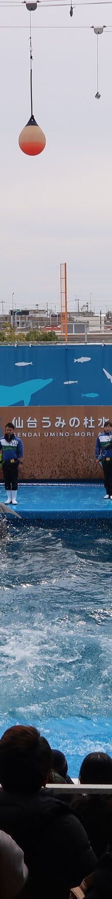 仙台海洋森林水族馆-仙台