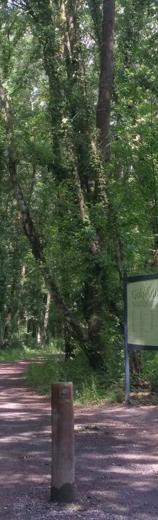 Parc des Gayeulles-雷恩