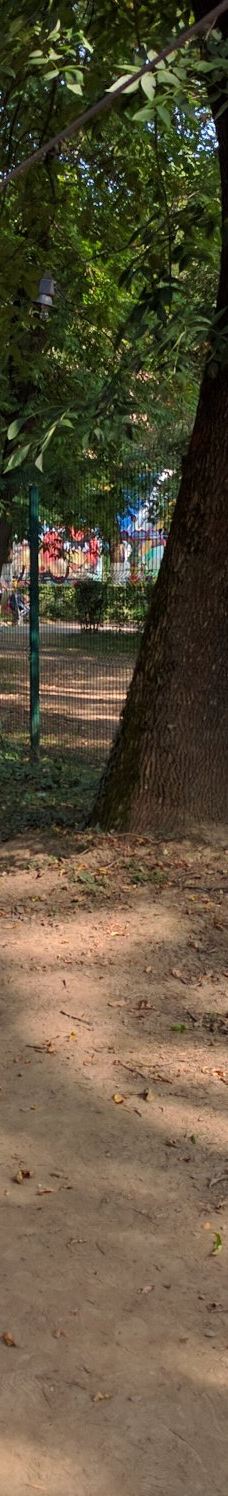 Bozdoshskiy Park-乌日霍罗德