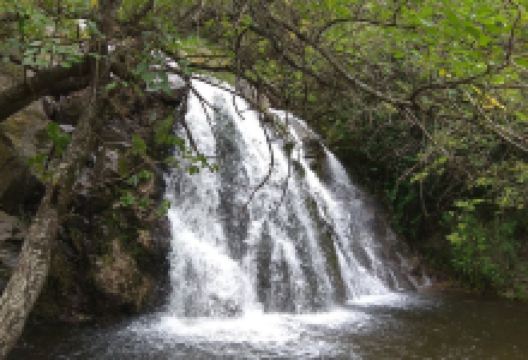La Cascada Nature Reserve景点图片
