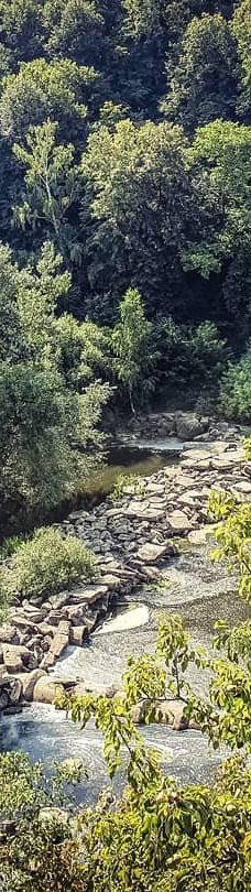 Park named Y. Gagarina-日托米尔