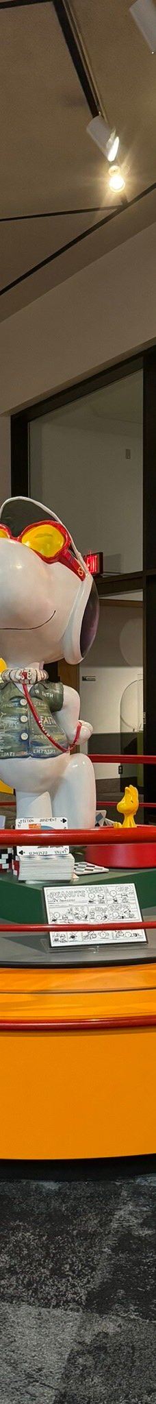 The Strong National Museum of Play-罗切斯特