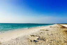 Caladesi Island State Park景点图片