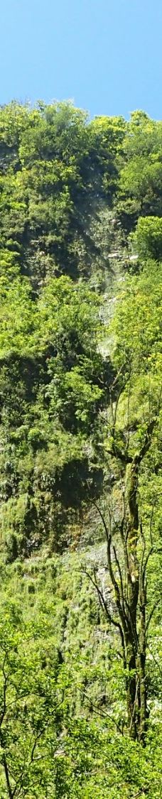 皮皮崴小径-茂宜县