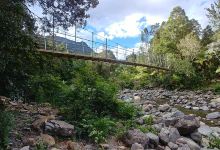 Coromandel Forest Park景点图片