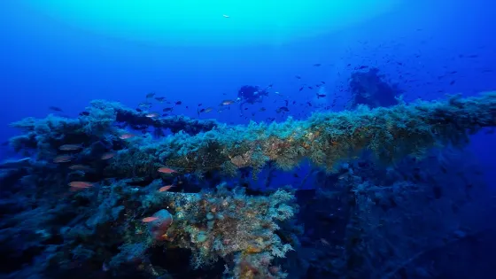 Aquatic Dive Club
