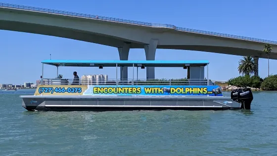 Encounters With Dolphins