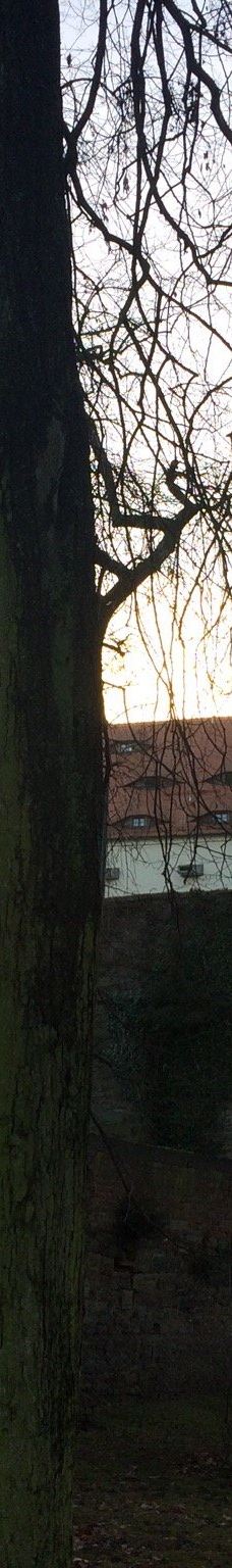 Schloss Freudenstein-弗莱贝格