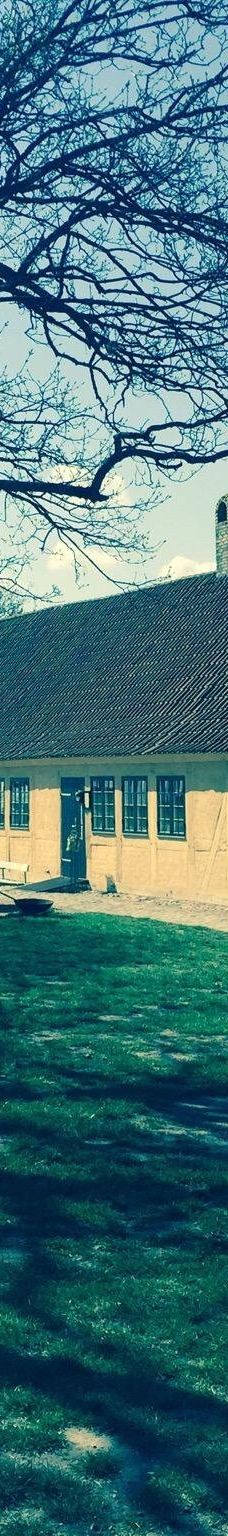 Danmarks Borgcenter-沃尔丁堡