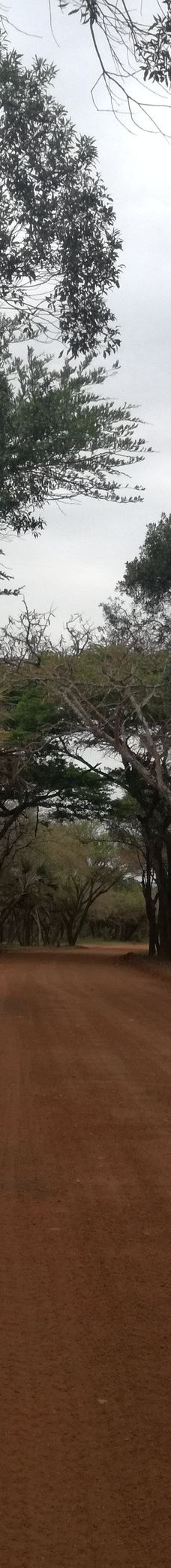 Bonamanzi Game Reserve-赫卢赫卢韦