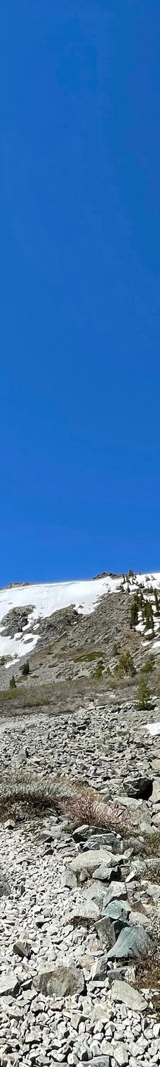 Mt. Tallac Trail-埃尔多拉多县