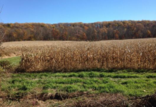 Conewago Recreation Trail景点图片
