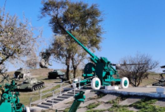 Temryuk Historical Archaeological Museum景点图片