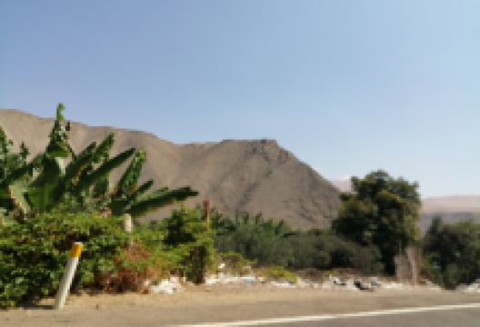 Museo Chiribaya景点图片