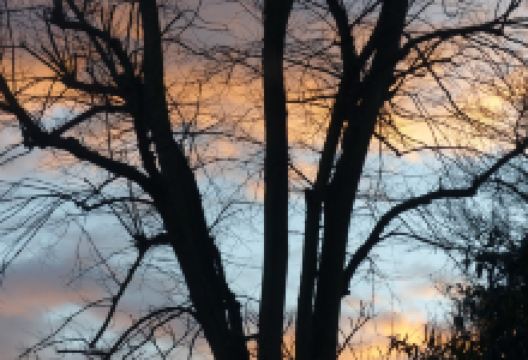 Kneller Gardens景点图片