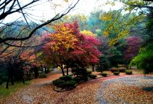 宝文山景点图片