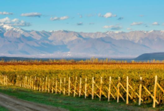 Savalan ASPI Winery景点图片