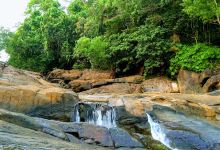 Aruvikkara Bhagavathy Temple景点图片