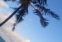 Praia de Vilanculos景点图片