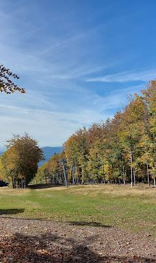 TV and observation tower-珍珠河
