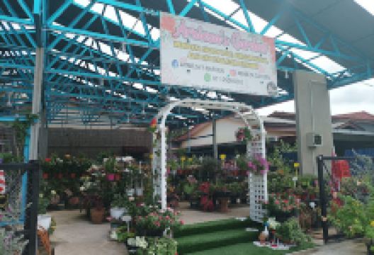 Arnieza's garden购物图片
