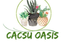 Cacsu Oasis购物图片