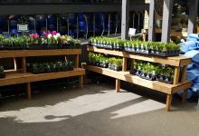 GARDENWORKS Colwood购物图片