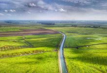 Wildvogelreservat Nordkehdingen景点图片