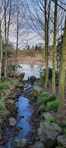Talking Water Gardens-奥尔巴尼