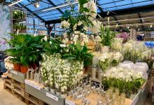 Plantasjen景点图片