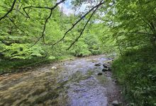 Soteska Bistrice景点图片